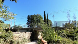 Colli del Trasimeno MTB e Gravel da Passignano a Tuoro (Perugia) foto n.42